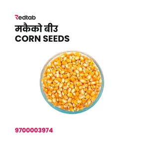 Makai Dana (Corn Seeds)