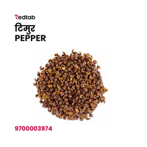 Timur (Pepper)