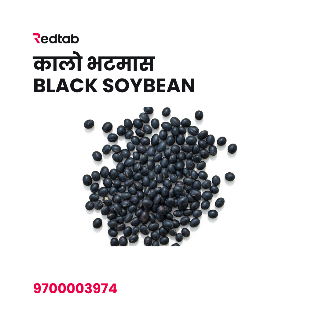 Kalo Bhatmas(Black Beans)