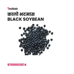 Kalo Bhatmas(Black Beans)