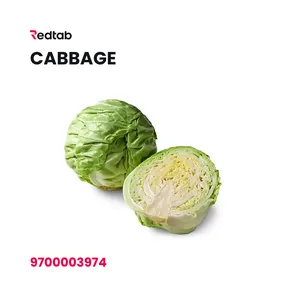 Cabbage