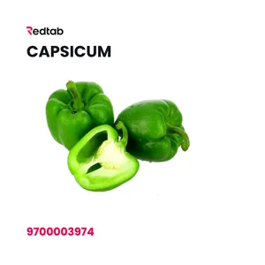 Capsicum