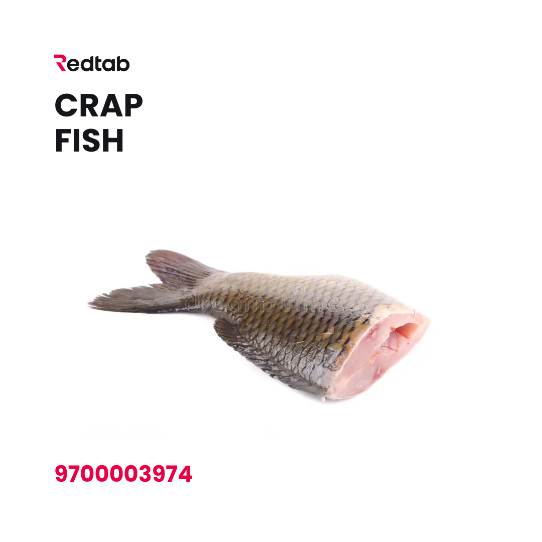 Carp Fish