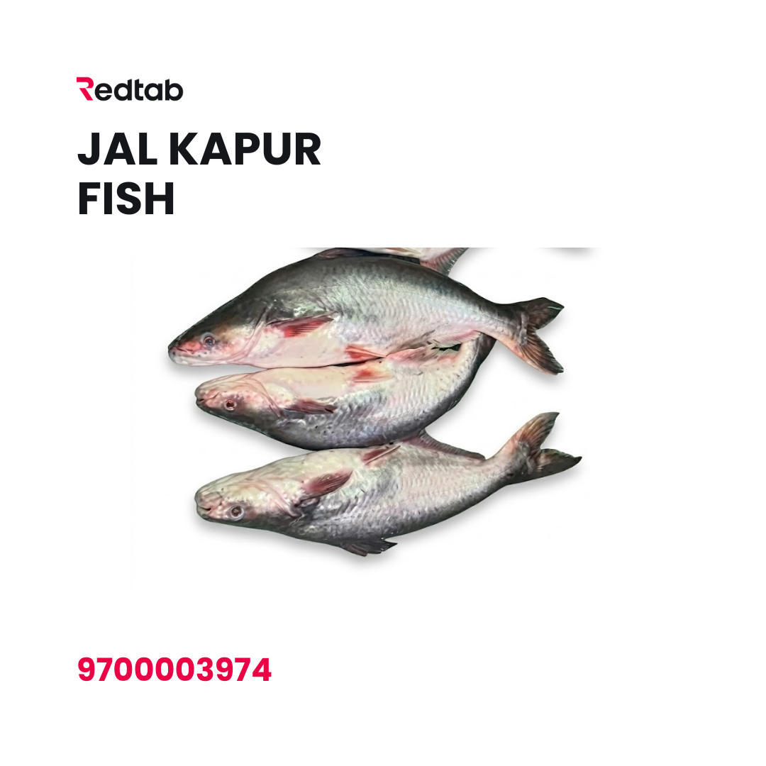 Jalkapur Fish