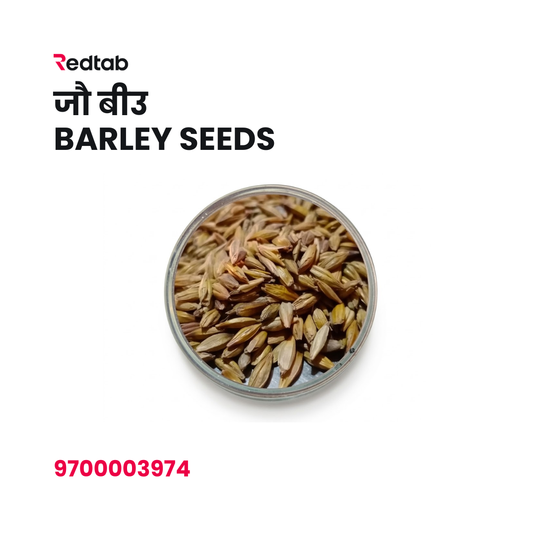 Jau Biu (Barley Seeds)