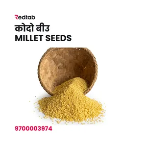 Kodo Biu (Millet Seeds)