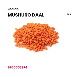 Musuro Daal