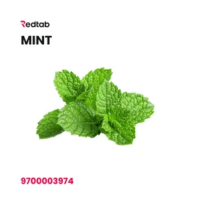 Mint