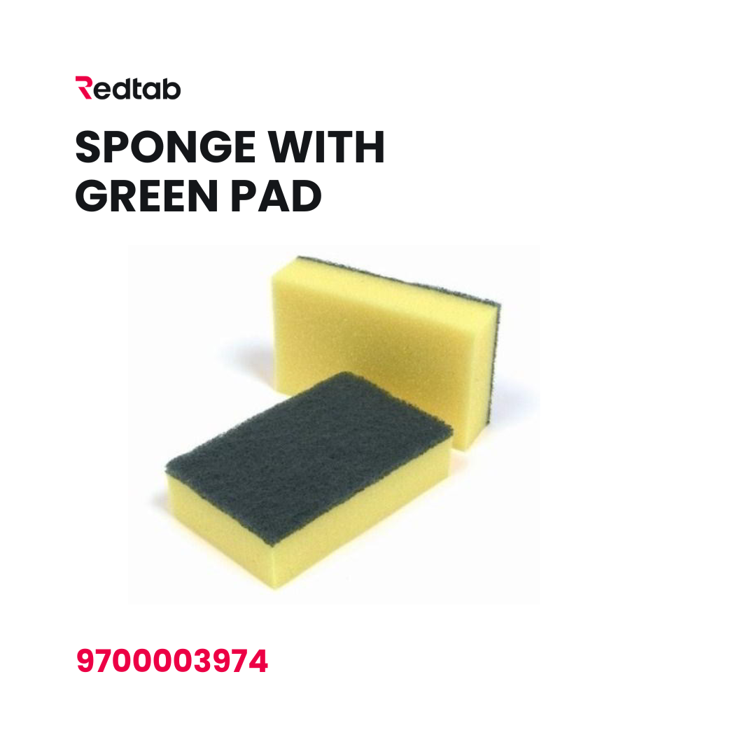 Sponge with Green Pad