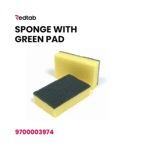 Sponge with Green Pad